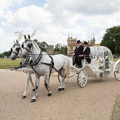 Pumpkin Carriage with 2 white horses for brides entrance