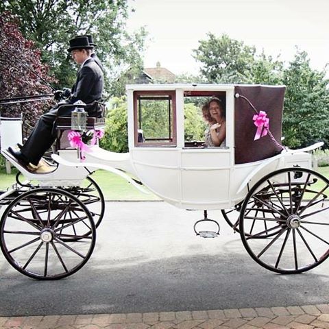 Glass Landau Carriage with 2 white horses for brides entrance Images